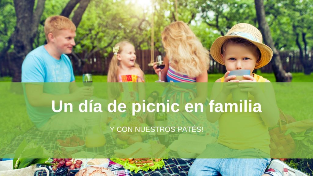 picnic vegetariano